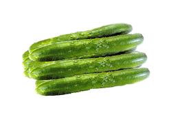 오이 이미지 1 번 - 하단에 대체텍스트 제공