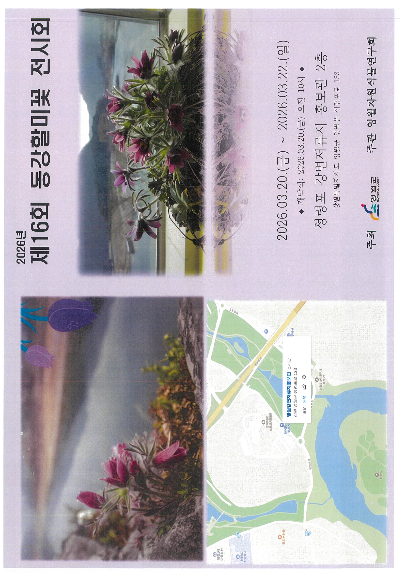 동강할미꽃 전시회 구경오세요 이미지 1 번 - 하단에 대체텍스트 제공