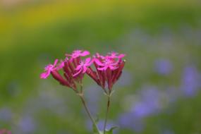 아름다운 영월에서 이미지