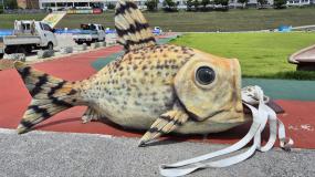 2024년 영월 뗏목 축제 이미지