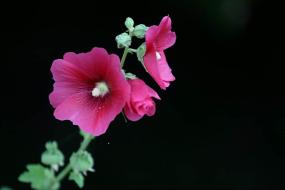 김삿갓면 오늘 이미지