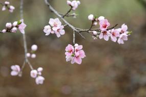 사진박물관에 핀꽃 하나 이미지