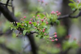 영월군청옆 이미지