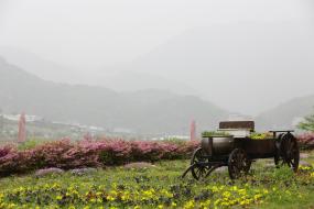 아름다운 영월 초입 이미지