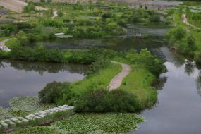 영월저류지 이미지