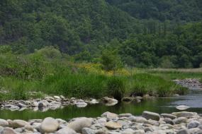 김삿갓면 이미지