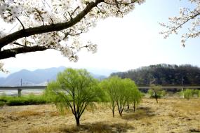 영월 소경 이미지