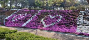 동강생태공원으로 꽃구경 오세요~~ 이미지