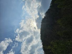 내리계곡 이미지