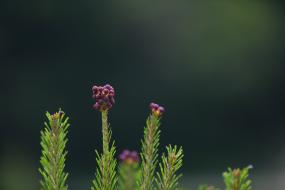 영월에서 이미지