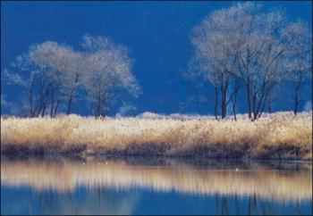 섶다리 부근 풍경입니다. 이미지