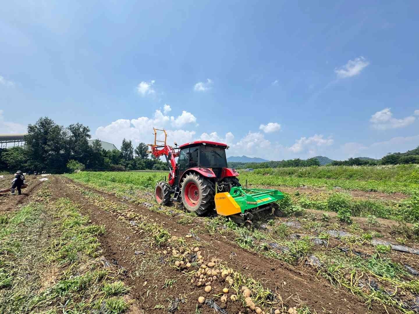 우리도 육성감자 생산기반 조성 사업 평가회