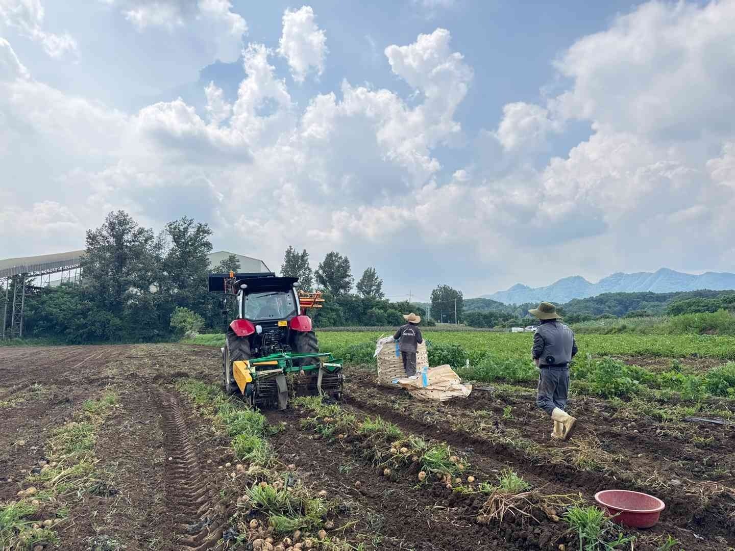 우리도 육성감자 생산기반 조성 사업 평가회
