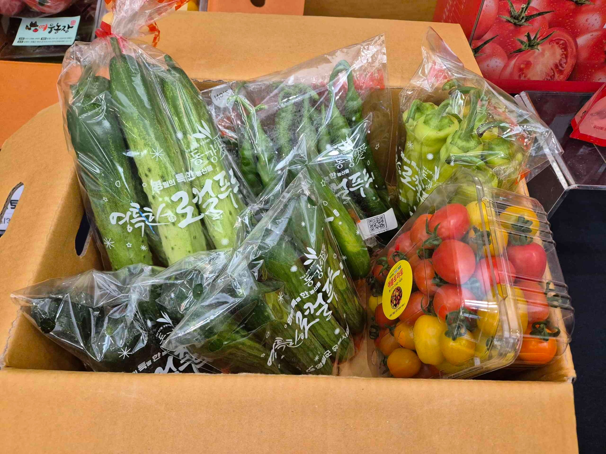 2025년 강원특별자치도 농업인 정보화 경진대회