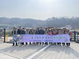동강할미꽃 자생지 복원 행사 이미지