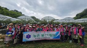 생활개선영월군연합회, 농촌일손돕기 봉사활동 펼쳐