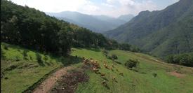 영월군_농특산물CF_영문 이미지