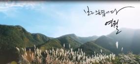 영월 홍보동영상 이미지