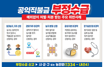 공익직불금 부정수급
예외없이 처벌 · 처분 받는 주요 위반사례
임대농지, 지주 신청 : 농사는 임차인이 짓고 있으나, 직불금은 농지주가 신청하는 경우
괸외거주 미경작 : 경작지가 멀어서 농사를 짓지 않지만 신청하는 경우
농지 분할 신청 : 여러 필지로 농지를 분할해 소농직불금을 신청하는 경우
공유지분 미경작 : 지분을 공유하는 토지에서 농사를 짓지 않으면서 신청하는 경우
장기요양 등 미경작 : 장기요양, 입원 등 실제 농사를 짓지 않지만 신청하는 경우
부정수급 신고 ▶ 시·군·구 또는 농관원(1334-내선4)