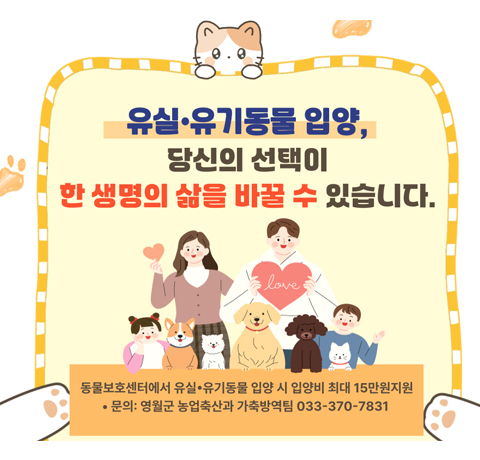 유실·유기동물 입양, 당신의 선택이 한 생명의 삶을 바꿀 수 있습니다.
동물보호센터에서 유실 · 유기동물 입양 시 입양비 최대 15만원지원
문의 : 영월군 농업축산과 가축방역팀 033-370-7831