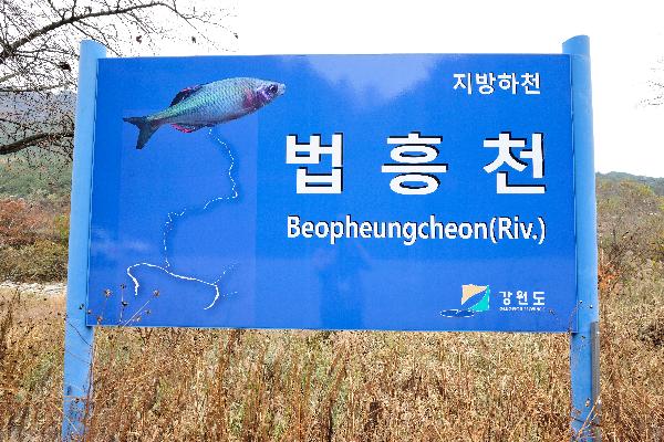 법흥천 1 이미지