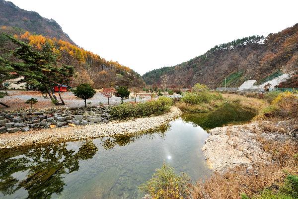 법흥천 5 이미지