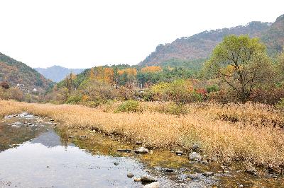 법흥천 3 이미지