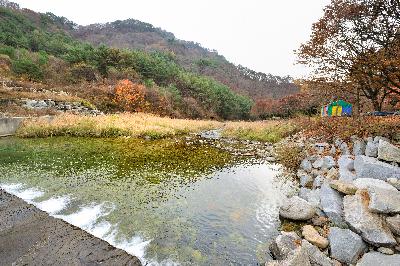 법흥천 8 이미지