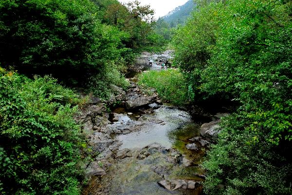 운학천 11 이미지