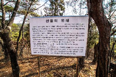 선돌 9 이미지