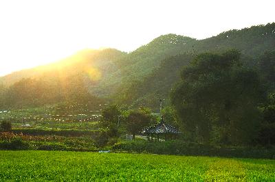 단종대왕유배길-역골