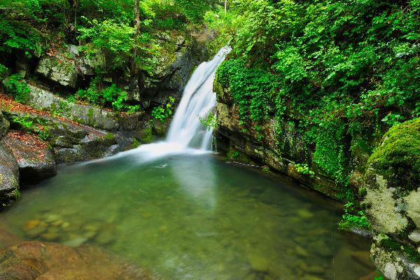 영월군용소폭포 1 이미지
