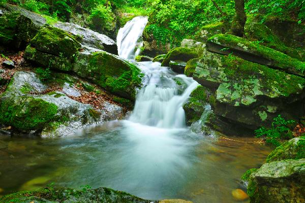 영월군용소폭포 2 이미지