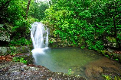영월군용소폭포 3 이미지