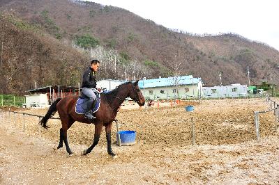 한반도승마장
