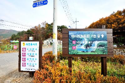 동강어라연가는길