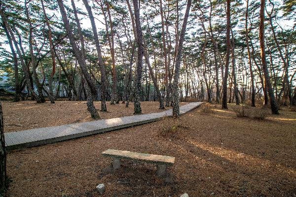 영월 청령포 1 이미지