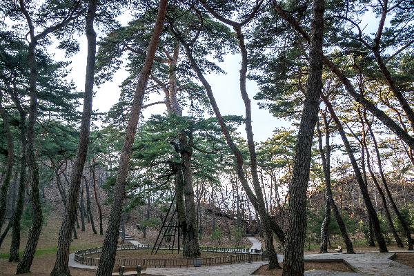 영월 청령포 3 이미지