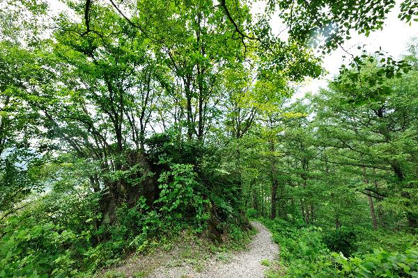 계족산 4 이미지
