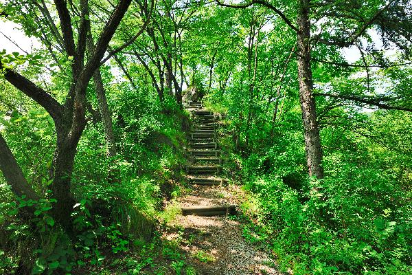 계족산 7 이미지
