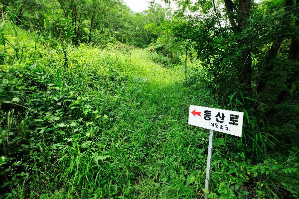 계족산 8 이미지