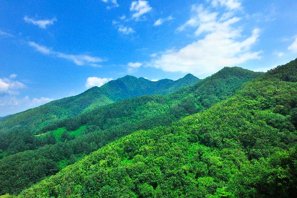 계족산 9 이미지