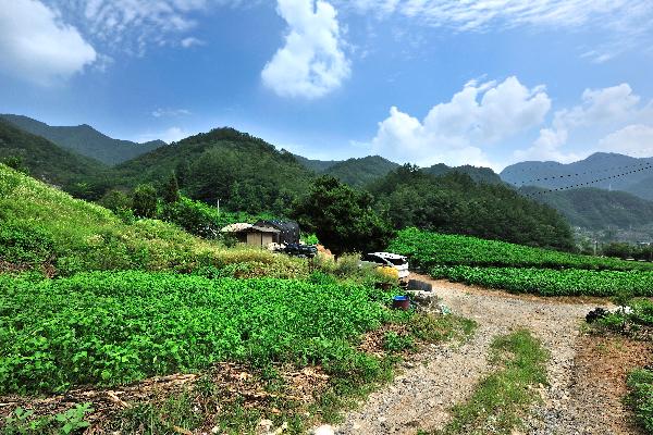 계족산 10 이미지