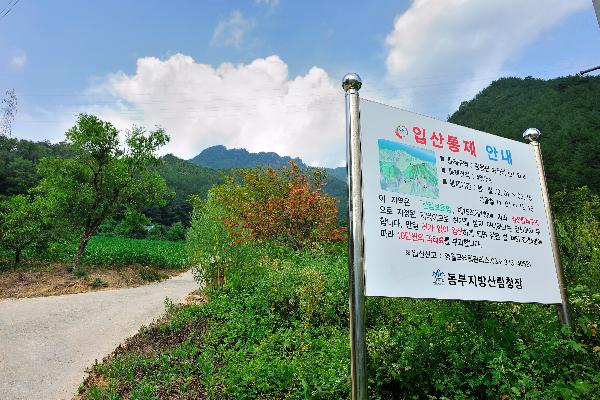 단풍산 6 이미지