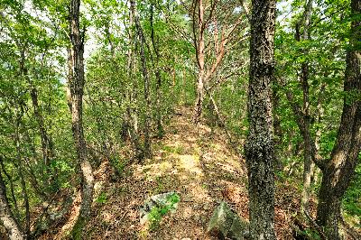 단풍산 8 이미지