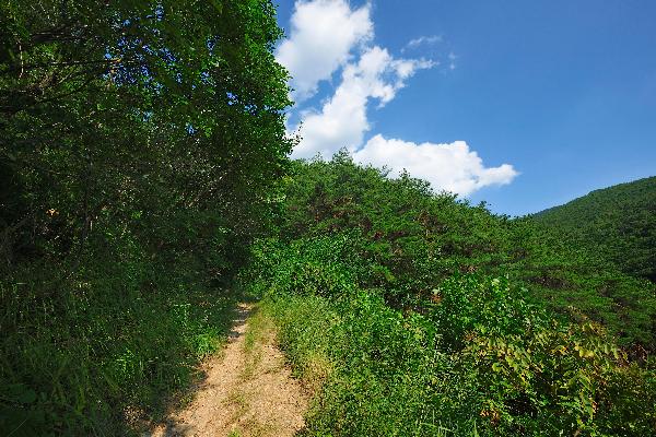 완택산 9 이미지