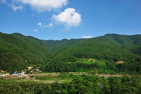 완택산 11 이미지