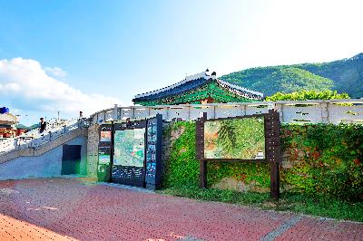 태화산 11 이미지