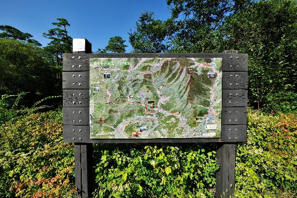 발산 11 이미지