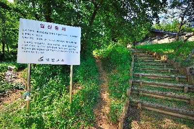 발산 3 이미지